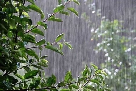 در 3 استان کشور نسبت به شدت بارندگی و خسارت به محصولات کشاورزی هشدار داده شده است.