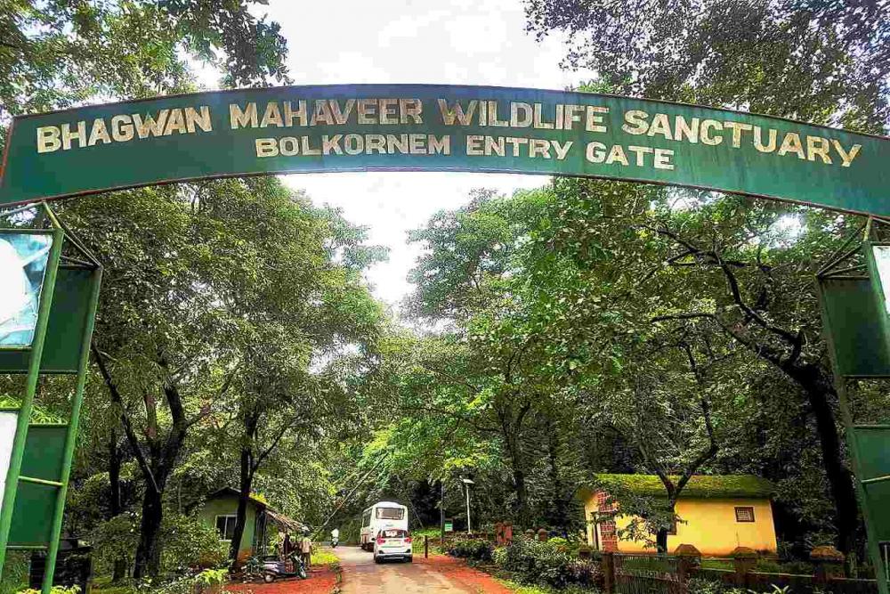 منطقه حفاظت شده باگوان ماهاویر گوا Bhagwan Mahavir Sanctuary
