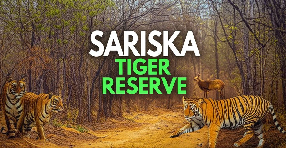 منطقه حفاظت شده ببر ساریسکا Sariska Tiger Reserve