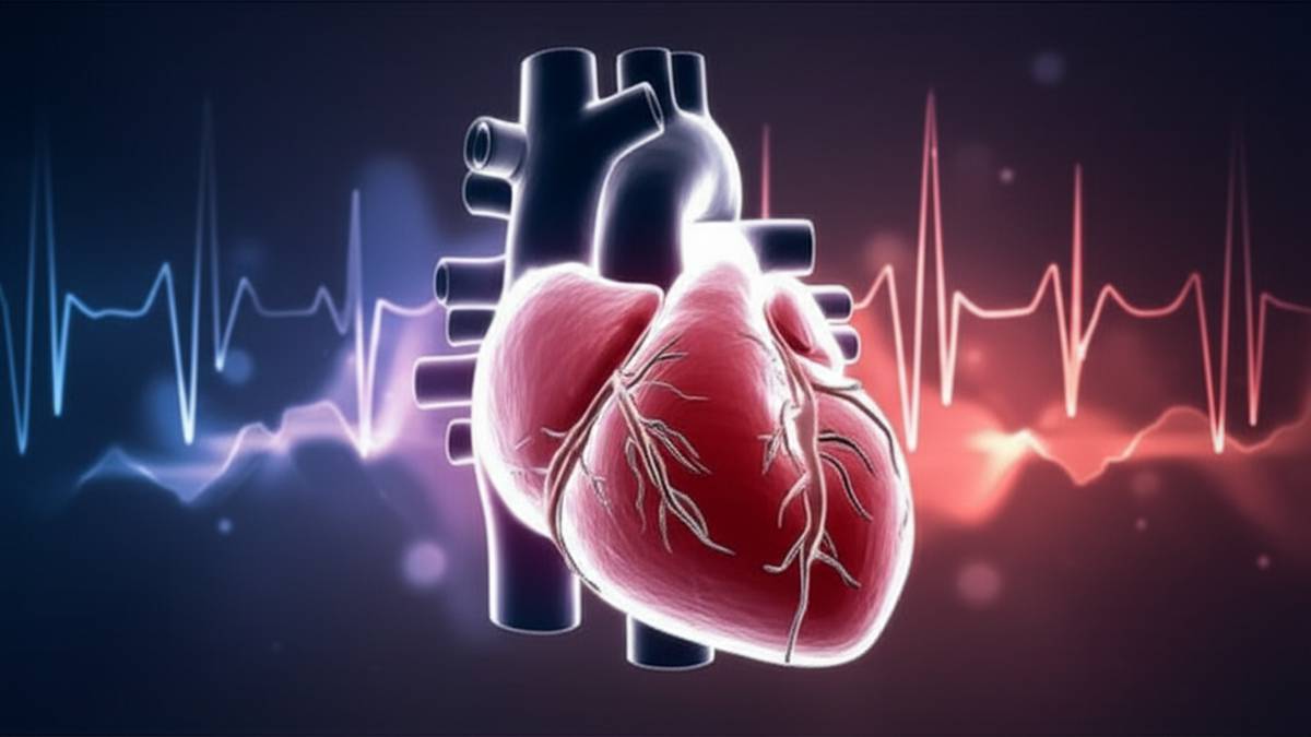 علائم تپش قلب – تشخیص، دلایل و درمان (راهنمای جامع)