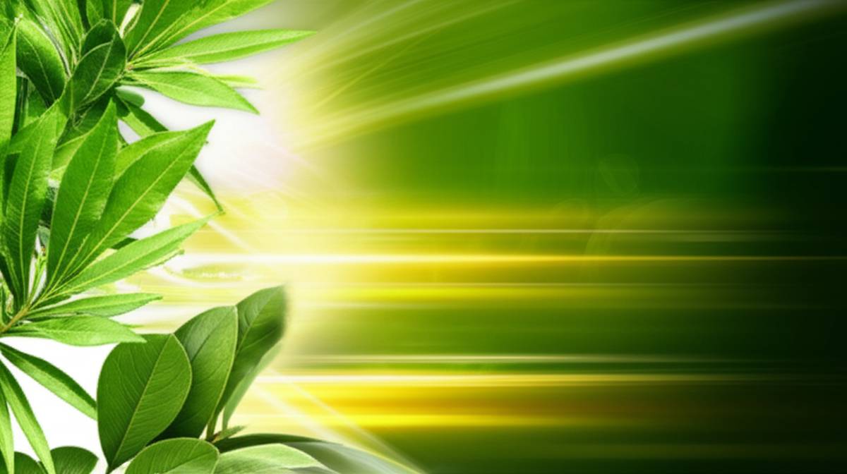 قرص پروستیکا گلدن لایف - ویژگی ها و راهنمای جامع